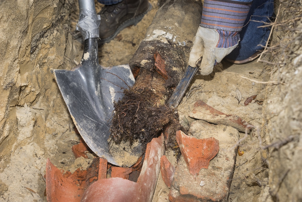 Trenchless Sewer Repair: Modern Solutions for Chicago’s Pipe Problems