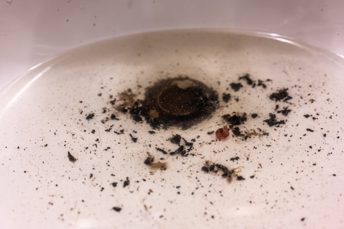 Conquer Clogged Chaos: Commercial Drain Unclogging Tips